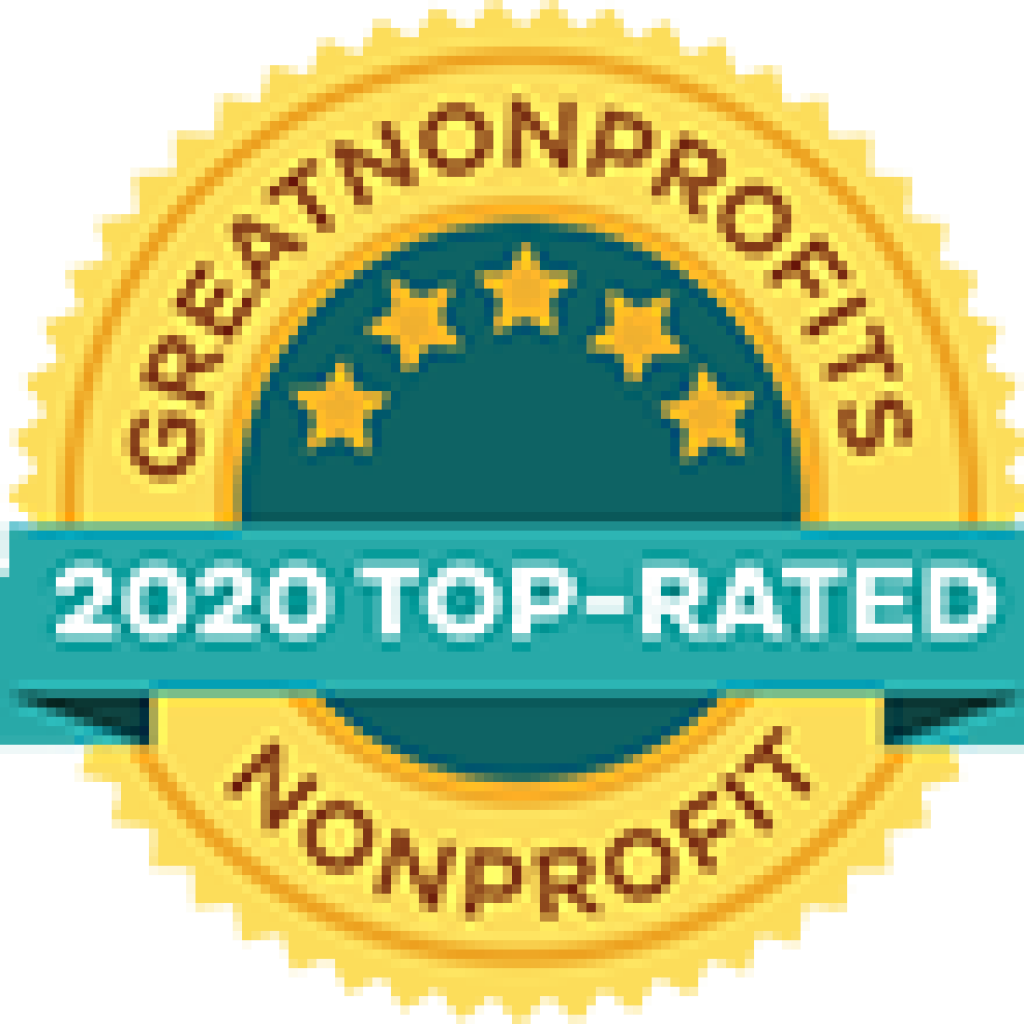 2020 Great Nonprofit